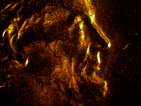 1982-SD-Penny-Double-Nose?-Is-It.