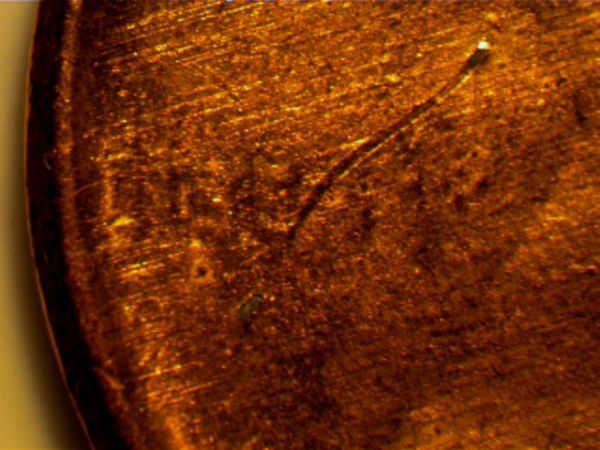 Penny-Almost-Clear,-Error-Or-MD?