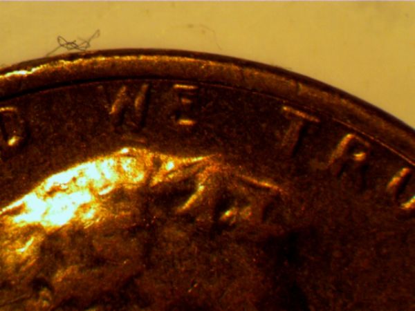 1972-Penny-DDO?