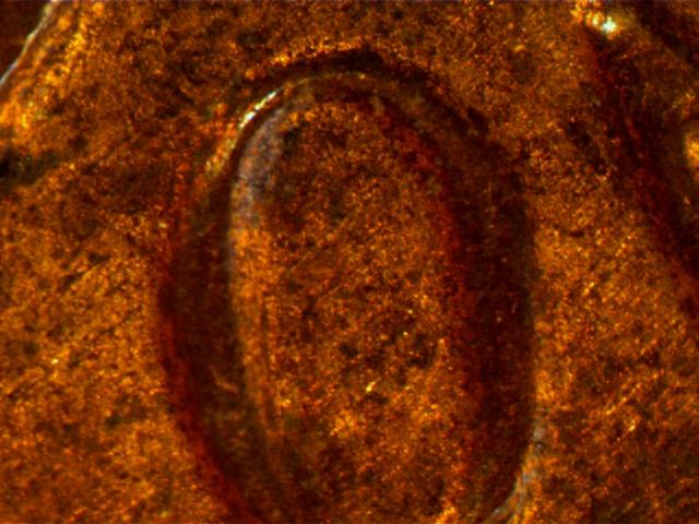 1983-Penny---DDR-Or-MD?
