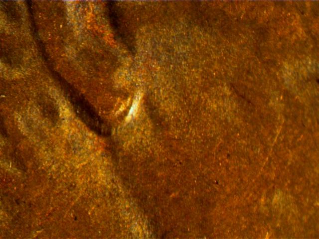 1984-Penny-Ear-Lobe-Or-MD?