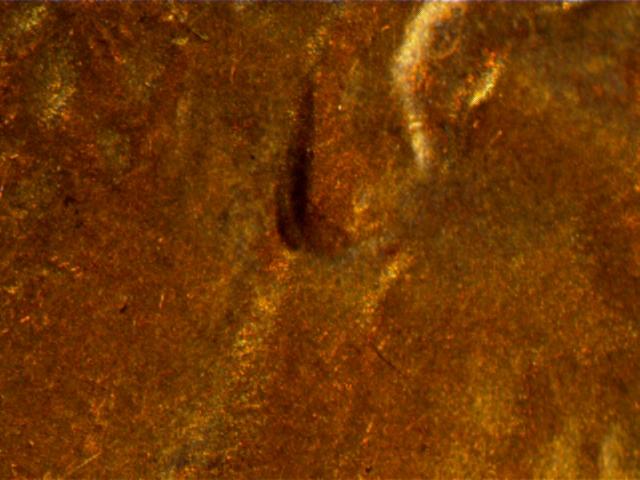 1984-Penny-Ear-Lobe-Or-MD?