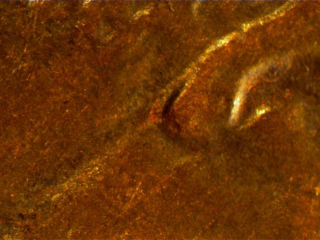 1984-Penny-Ear-Lobe-Or-MD?