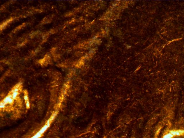 2006-Penny,-Part-Of--Design,-Damage-Or-Ear-Lobe-?