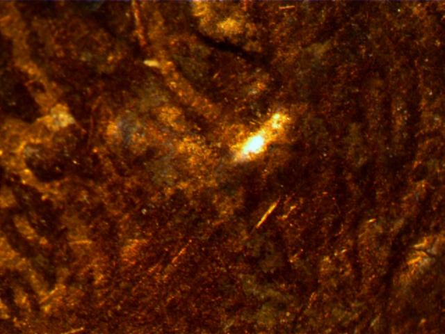 2006-Penny,-Part-Of--Design,-Damage-Or-Ear-Lobe-?