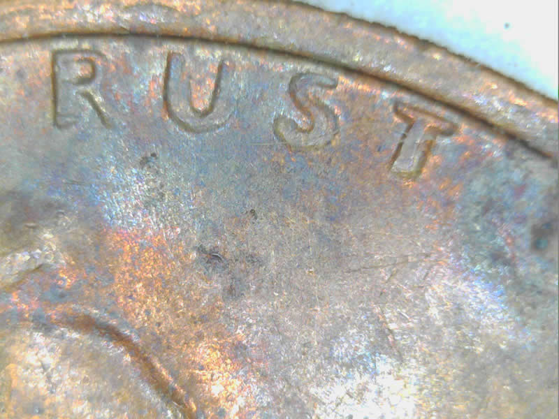 2016-Penny-DDO-Or-MD