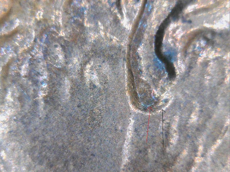 1999-Penny-Doubled-Ears-Or-Normal