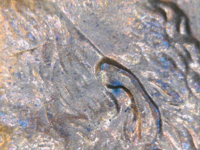 1999-Penny-Doubled-Ears-Or-Normal