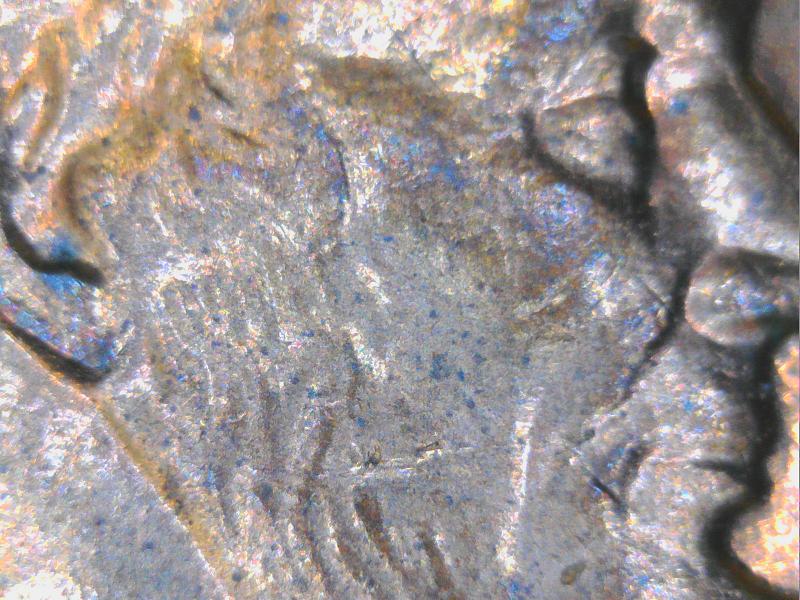 1999-Penny-Doubled-Ears-Or-Normal