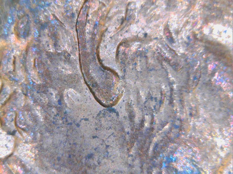 1997-Penny-Not-Sure-If-Double-Or-Triple-Ear-Or-None?