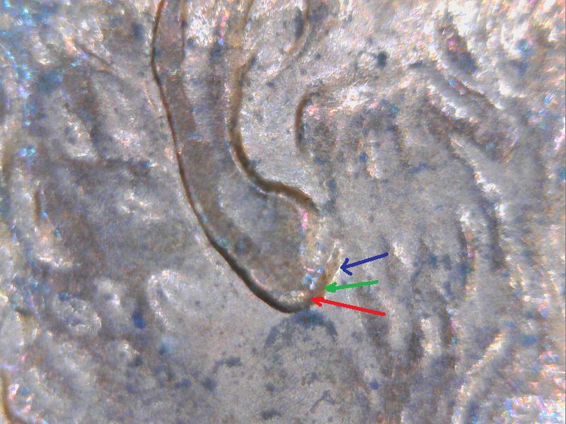1997-Penny-Not-Sure-If-Double-Or-Triple-Ear-Or-None?