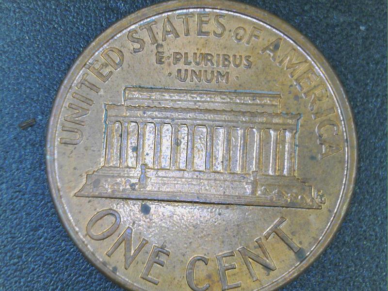 1992-Penny-Is-It-Double-Ear-Or-Not?