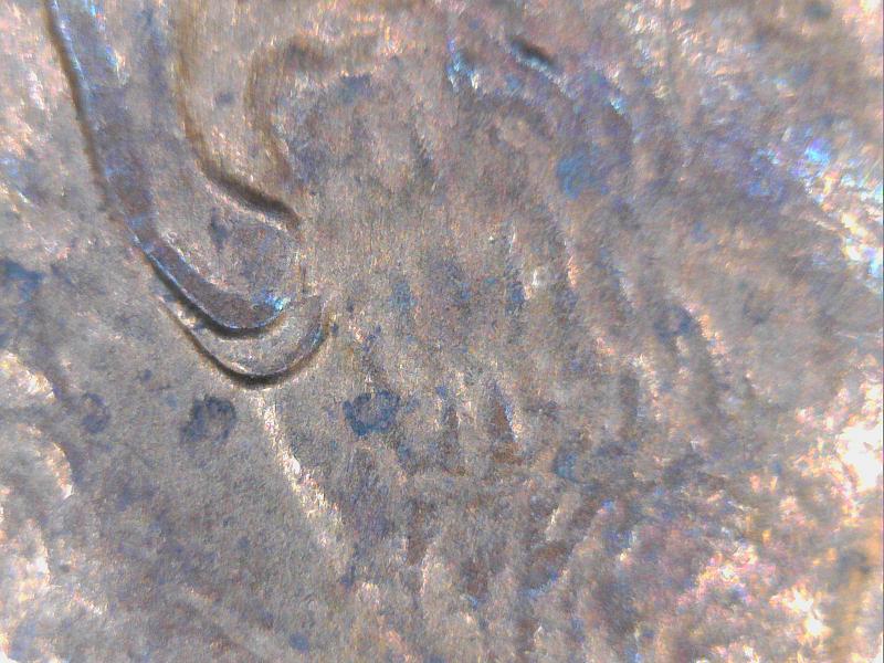 1992-Penny-Is-It-Double-Ear-Or-Not?