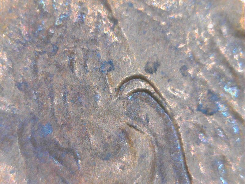1992-Penny-Is-It-Double-Ear-Or-Not?