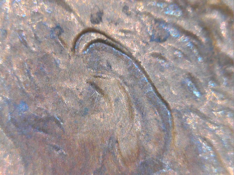 1992-Penny-Is-It-Double-Ear-Or-Not?