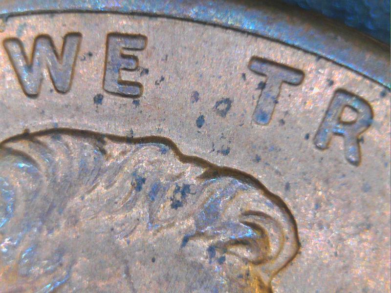 1992-Penny-Is-It-Double-Ear-Or-Not?