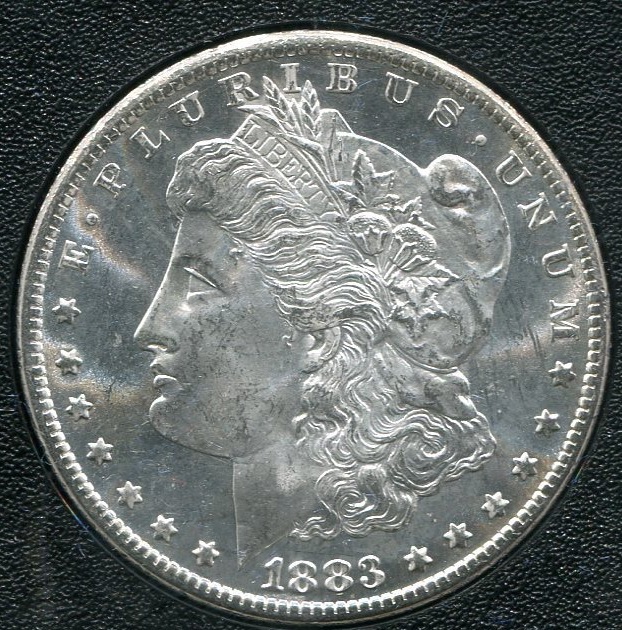 1883-CC-Morgan-Dollar,-How-Would-You-Grade-This