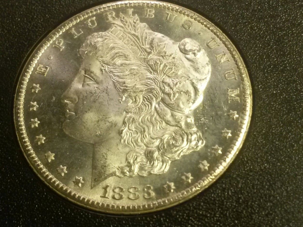 1883-CC-Morgan-Dollar,-How-Would-You-Grade-This