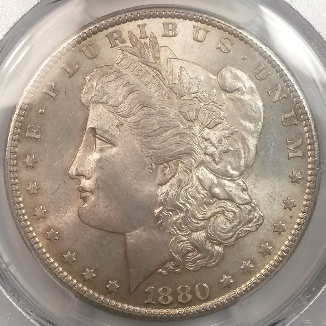 1880-S-Morgan-Dollar---You-Vs-PCGS