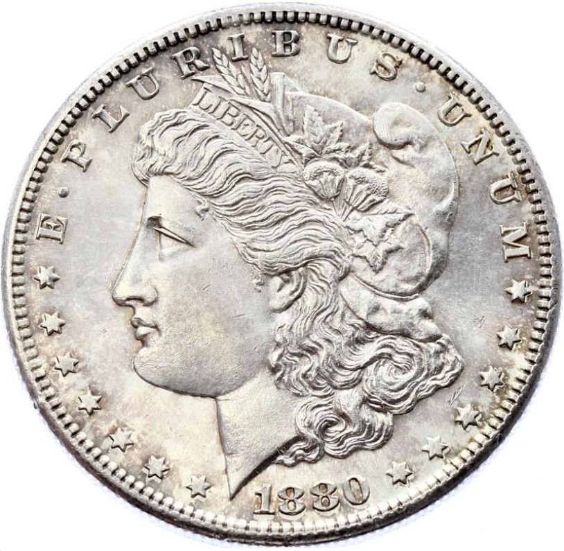 1880-S-Morgan-Dollar-For-Grading