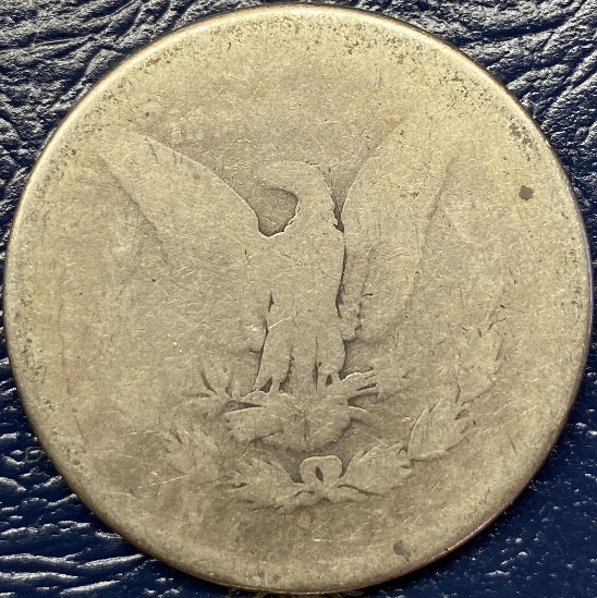 Khromtau's-Lowball-Morgan-Dollar-Album