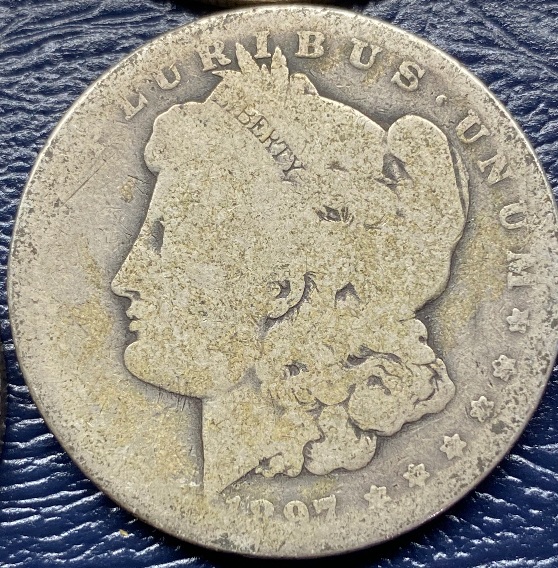 Khromtau's-Lowball-Morgan-Dollar-Album