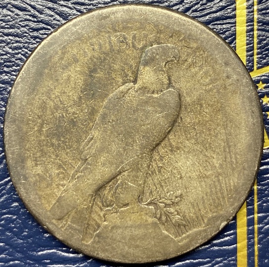 Continuing-List-To-Show-Everyones-Latest-Acquisitions