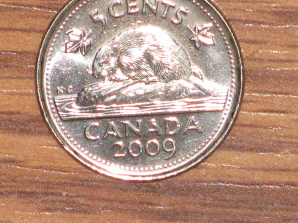 2009-Bug-Tale-Nickel?--Lots-Of-Errors-<>updated