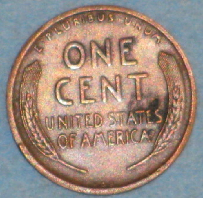 1909-S-VDB-,-I-Want-To-Buy-This-Coin,-Any-Thoughs?