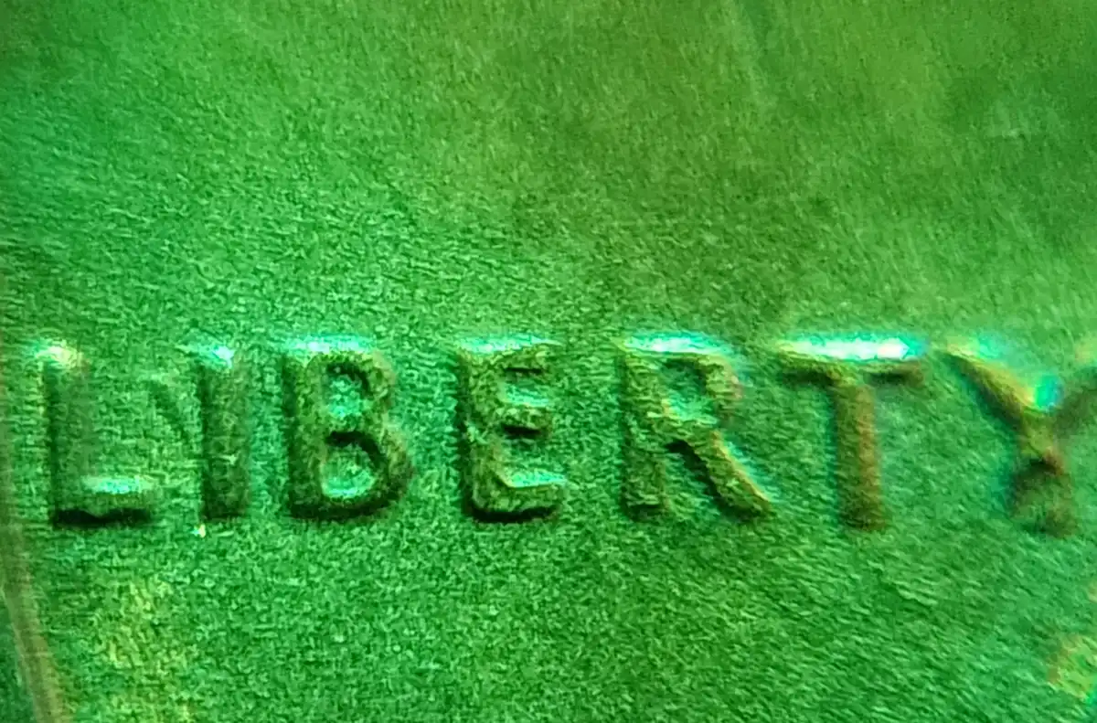 1969-D-Lincoln-Cent.-Can't-Find-Anything-On-This.-Die-Chip?-I-In-Liberty