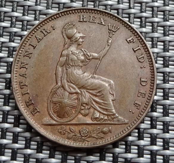 Copper-And-Bronze---New-Collection-Additions