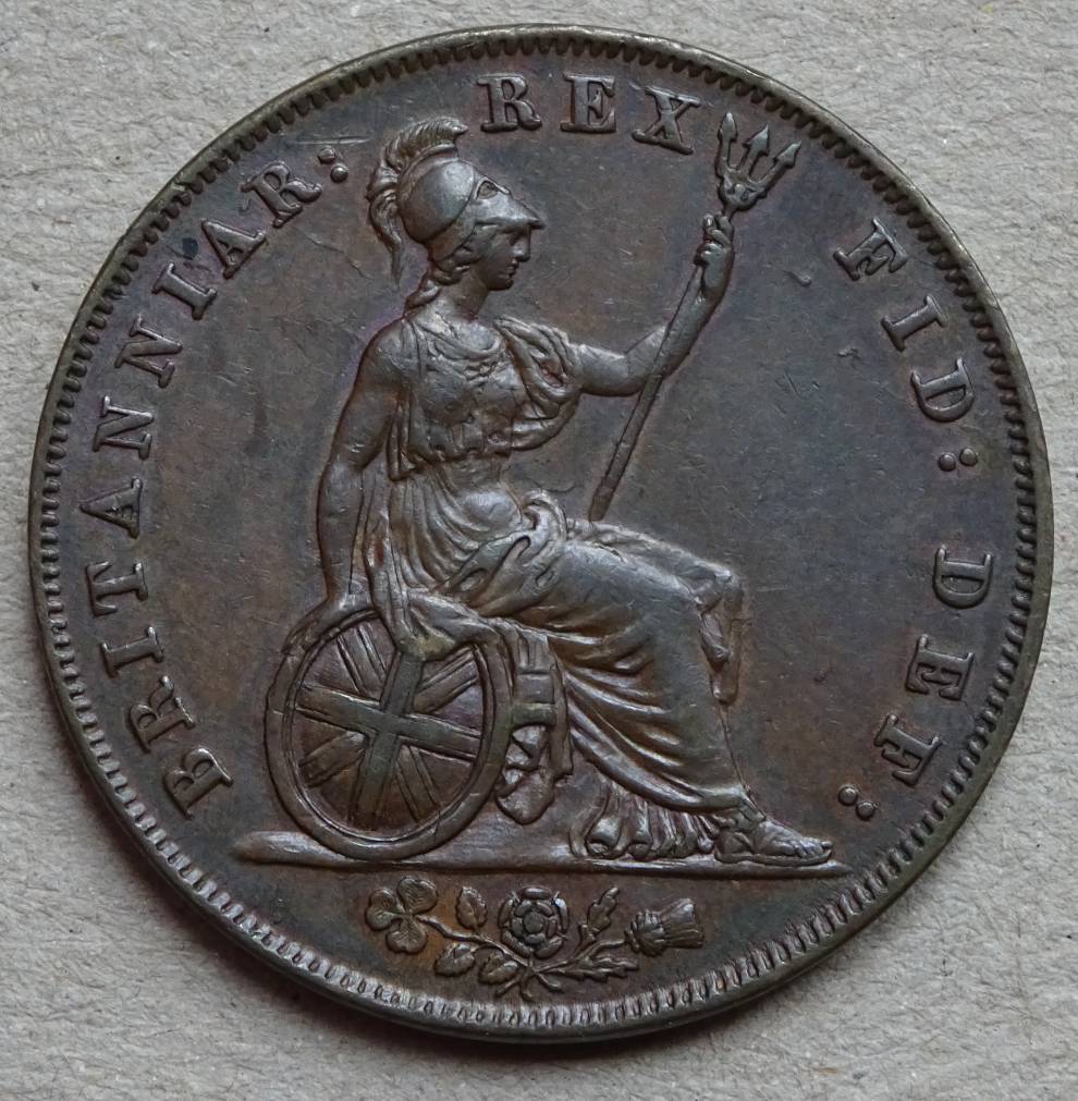 Copper-And-Bronze---New-Collection-Additions