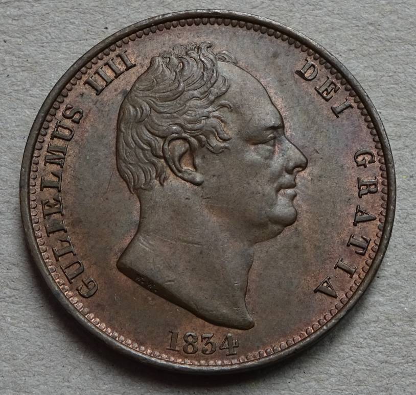 Copper-And-Bronze---New-Collection-Additions