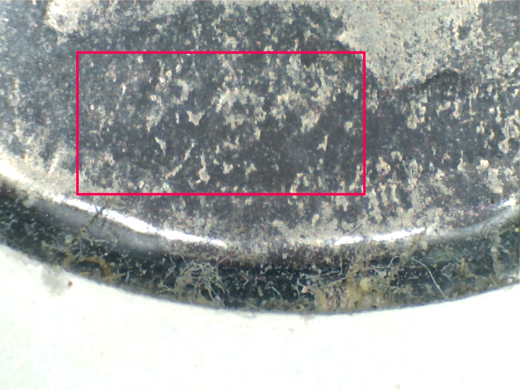 Whst-Do-You-Think?--1882-3-Cernt-Nickel?