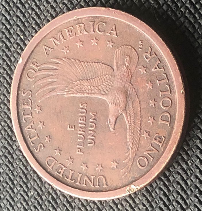 2000-P-Sacagawea-Dollar-Coin...experimental-Rinse?