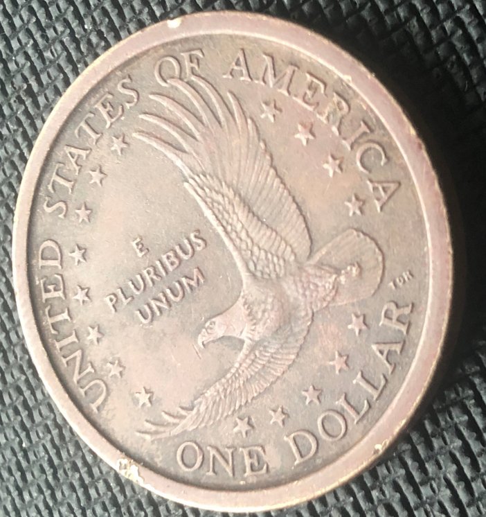 2000-P-Sacagawea-Dollar-Coin...experimental-Rinse?