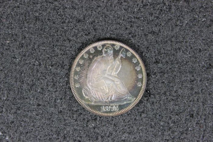 1875-Seated-Half-Need-Opinions-On-This-Coin