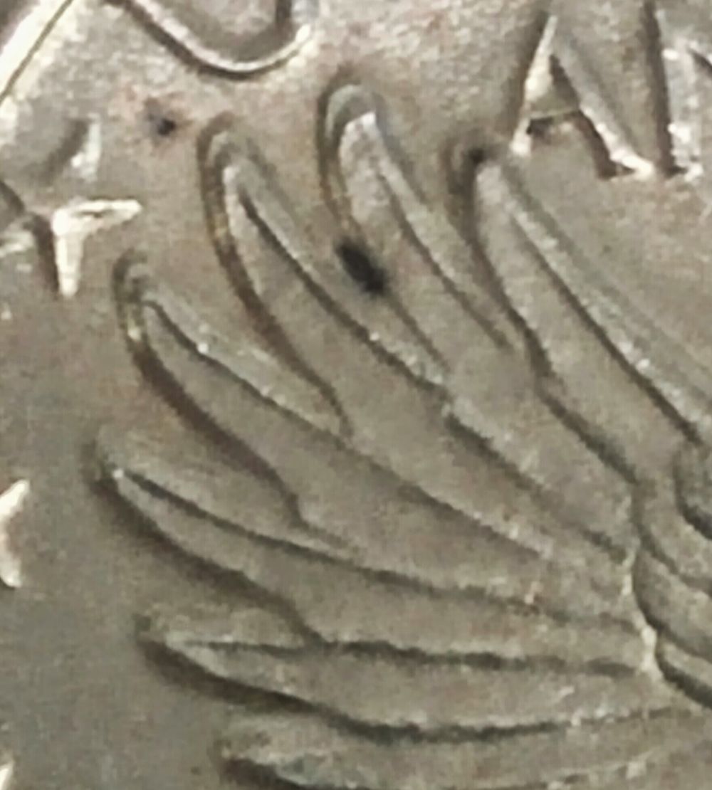 Doubled-Wingtips-On-1929-D-SLQ