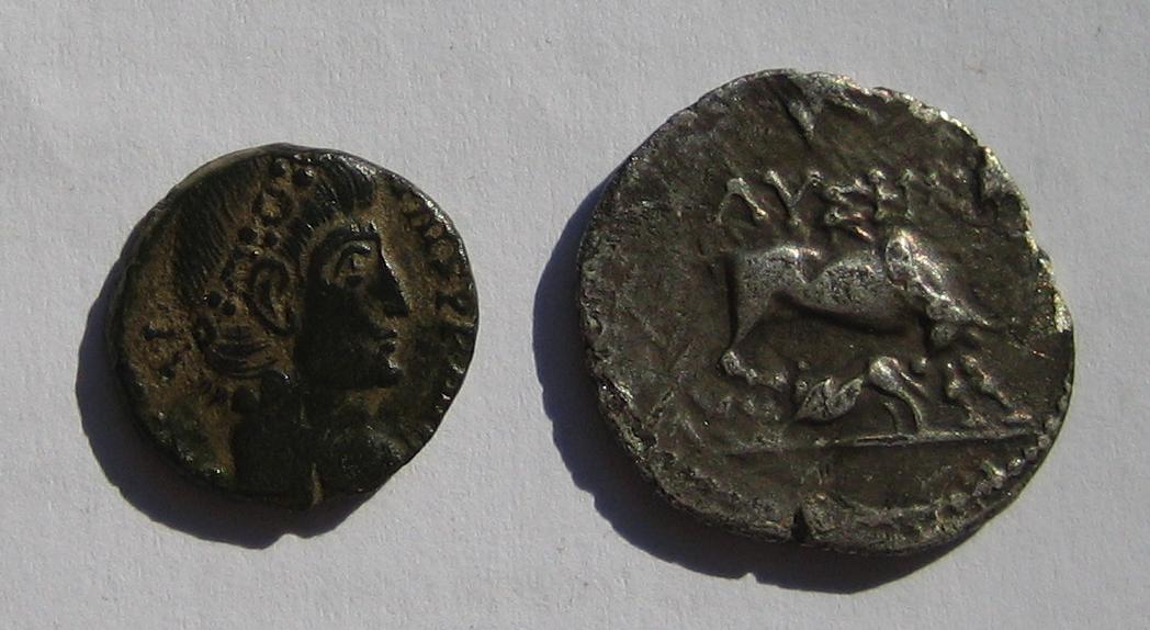 Identify-These-Please...