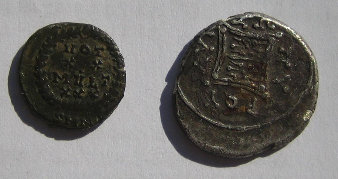 Identify-These-Please...
