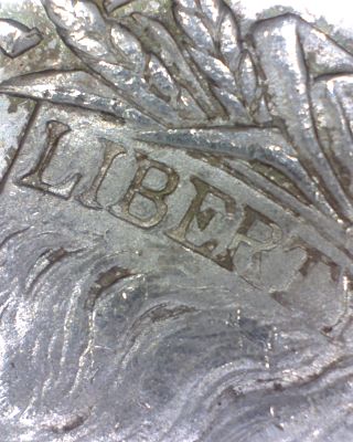 1878-S-VAM-111?-Or-A-New-Variety