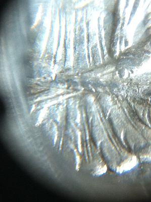 1878-S-VAM-111?-Or-A-New-Variety