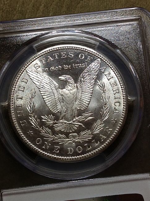 Heres-A-Morgan-For-Ya-1881-S-You-Vs-PCGS-Results-Tonight