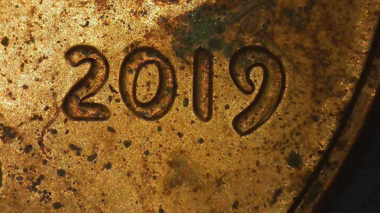 2019-P-Penny-DDO?-Opinion?