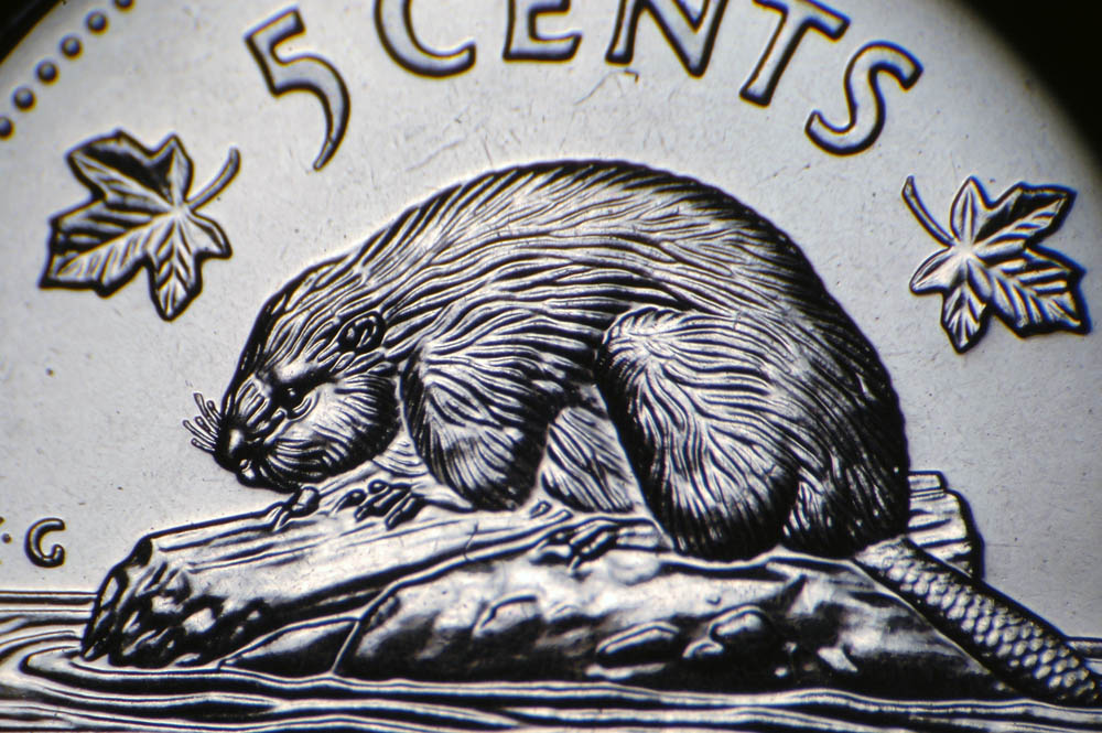 2001-Round-&-Oval-Date-5c-Business-Strike-Vs.-Numismatic?