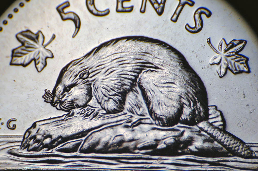 2001-Nickel;-Does-This-Count-As-Bare-Belly?