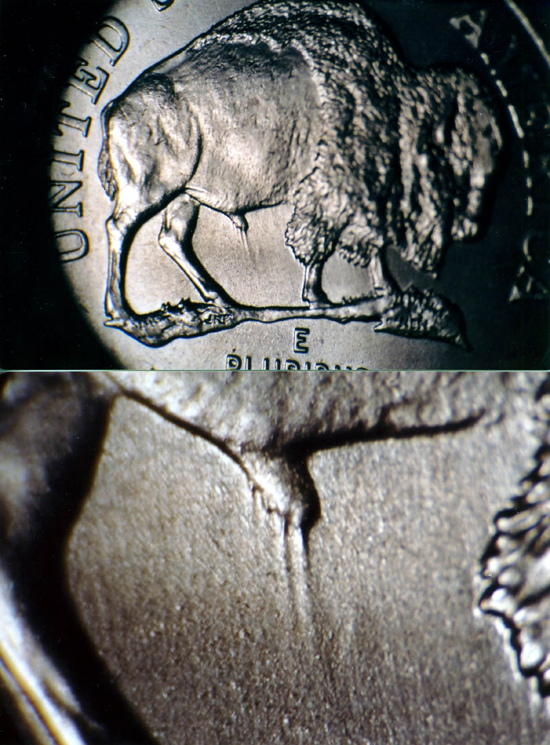 2005-P-Bison-5c-W/Strong-Obv/Rev-Clashed-Dies
