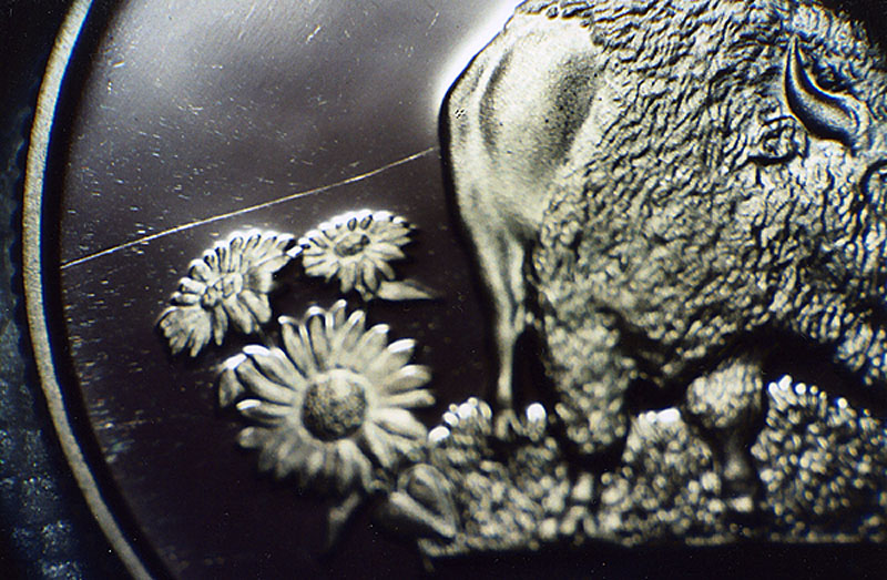 2005-P-Bison-5c-W/Strong-Obv/Rev-Clashed-Dies