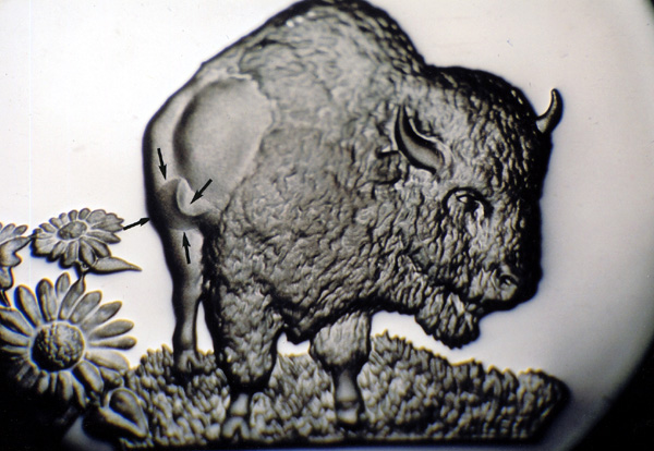 2005-P-Bison-5c-W/Strong-Obv/Rev-Clashed-Dies