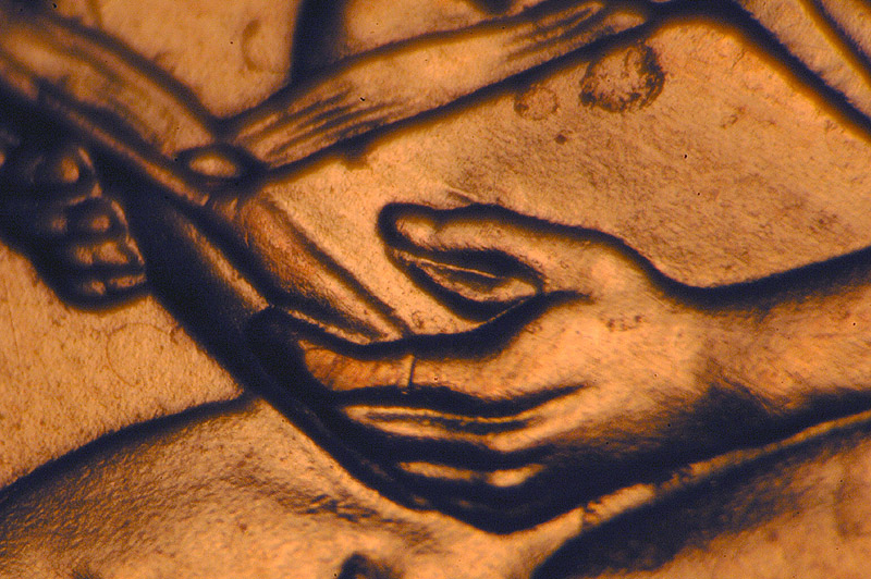2009-Extra-Finger
